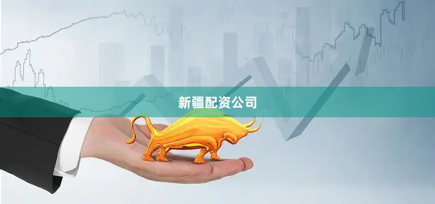 新疆配资公司