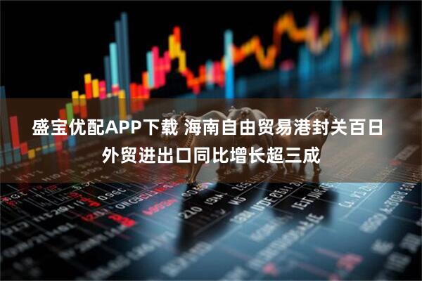 盛宝优配APP下载 海南自由贸易港封关百日 外贸进出口同比增长超三成