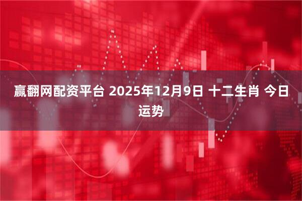 赢翻网配资平台 2025年12月9日 十二生肖 今日运势